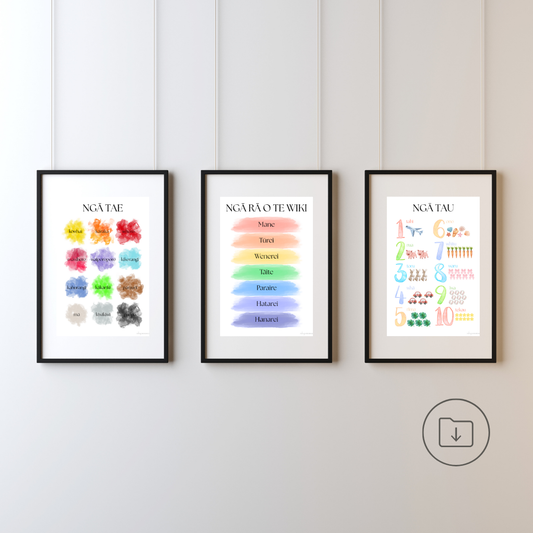 The basic bundle V1 - Te reo Māori